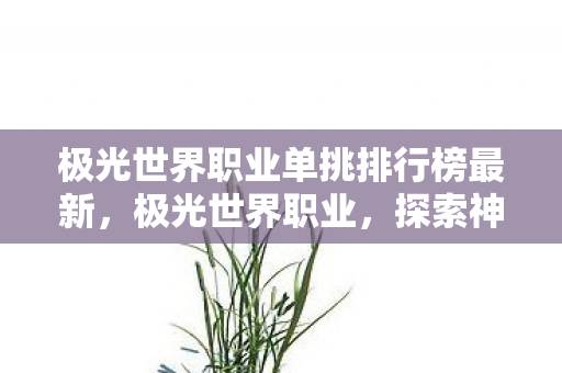 极光世界职业单挑排行榜最新，极光世界职业，探索神秘法师的魔法之旅