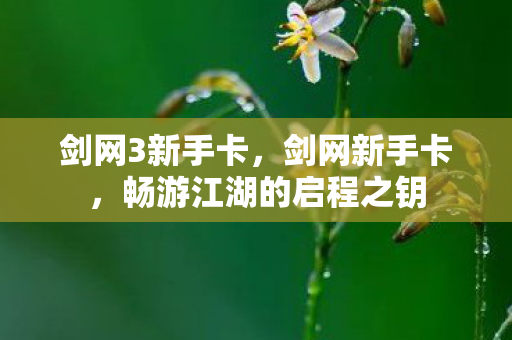 剑网3新手卡，剑网新手卡，畅游江湖的启程之钥