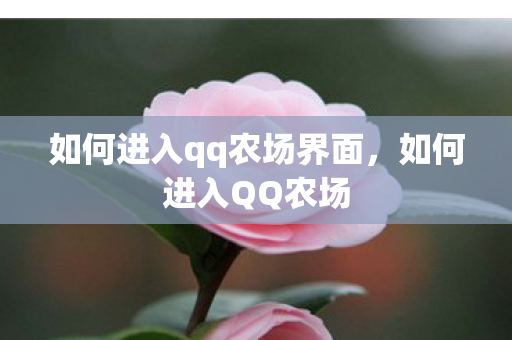 如何进入qq农场界面，如何进入QQ农场