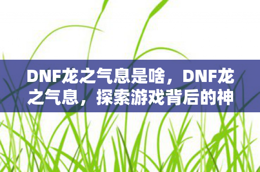DNF龙之气息是啥，DNF龙之气息，探索游戏背后的神秘力量