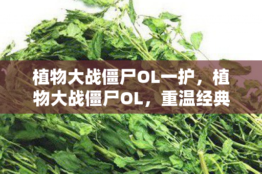 植物大战僵尸OL一护，植物大战僵尸OL，重温经典，探索未知的植物与僵尸世界