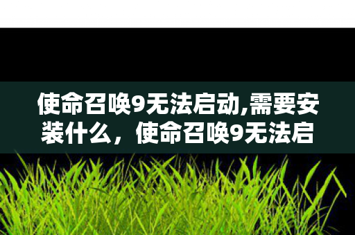 使命召唤9无法启动,需要安装什么，使命召唤9无法启动，解决疑难杂症的全面指南