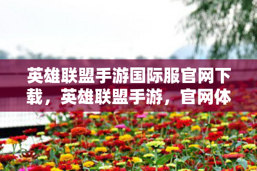 英雄联盟手游国际服官网下载，英雄联盟手游，官网体验，尽享正版魅力