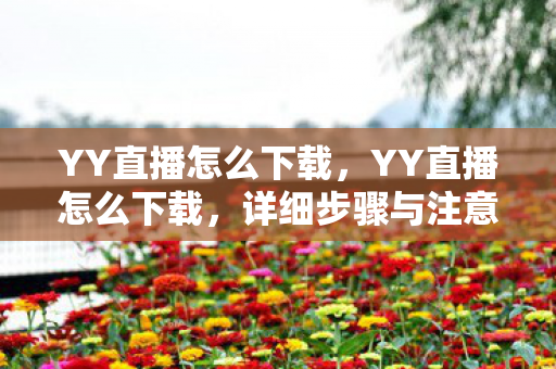 YY直播怎么下载，YY直播怎么下载，详细步骤与注意事项