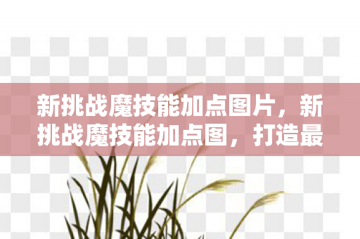 新挑战魔技能加点图片，新挑战魔技能加点图，打造最强角色的关键