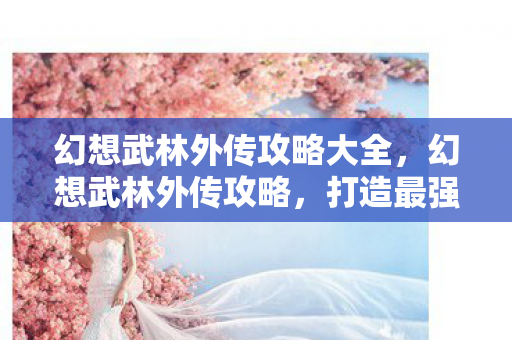 幻想武林外传攻略大全，幻想武林外传攻略，打造最强角色，征服武林！