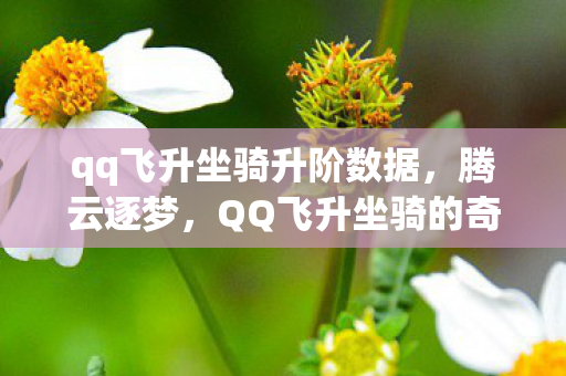qq飞升坐骑升阶数据，腾云逐梦，QQ飞升坐骑的奇幻之旅
