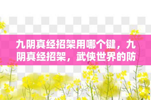 九阴真经招架用哪个键，九阴真经招架，武侠世界的防御艺术
