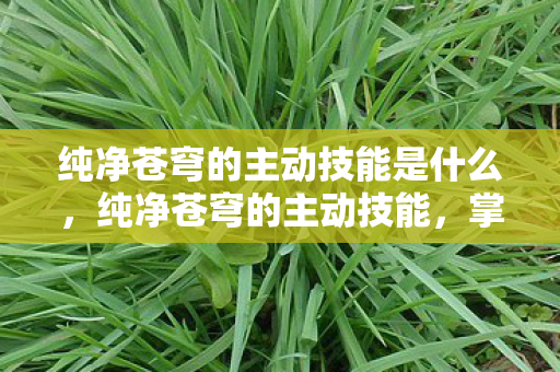 纯净苍穹的主动技能是什么，纯净苍穹的主动技能，掌握天穹之跃的奥秘