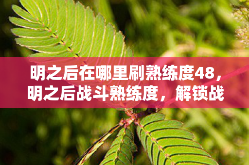 明之后在哪里刷熟练度48，明之后战斗熟练度，解锁战斗新境界