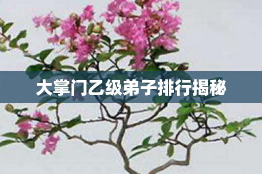 大掌门乙级弟子排行揭秘