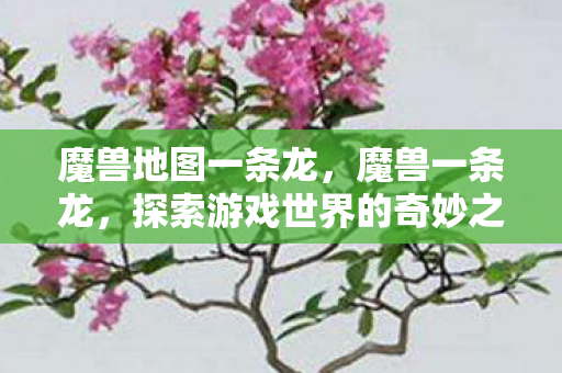 魔兽地图一条龙，魔兽一条龙，探索游戏世界的奇妙之旅