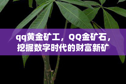 qq黄金矿工，QQ金矿石，挖掘数字时代的财富新矿