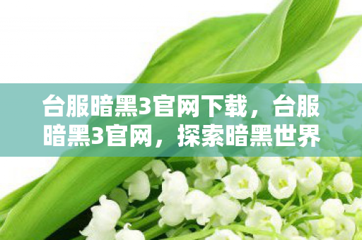 台服暗黑3官网下载，台服暗黑3官网，探索暗黑世界的独特魅力