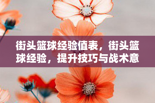 街头篮球经验值表，街头篮球经验，提升技巧与战术意识的实战指南