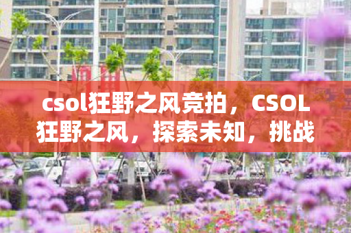csol狂野之风竞拍，CSOL狂野之风，探索未知，挑战极限