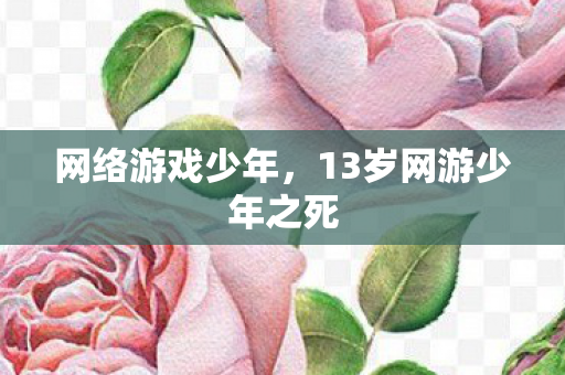 网络游戏少年，13岁网游少年之死
