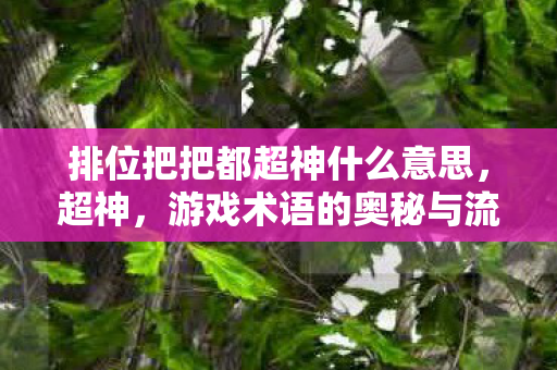 排位把把都超神什么意思，超神，游戏术语的奥秘与流行文化解析