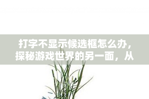 打字不显示候选框怎么办，探秘游戏世界的另一面，从官方到私服的灰色地带