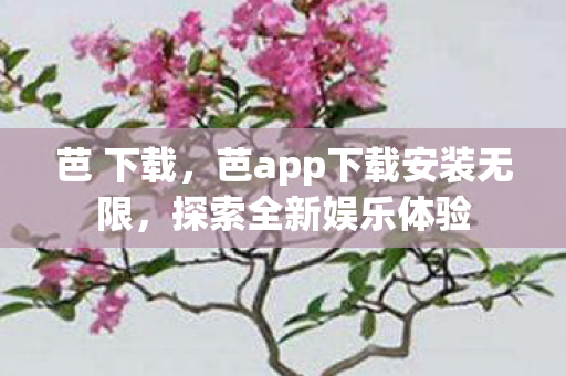 芭 下载，芭app下载安装无限，探索全新娱乐体验