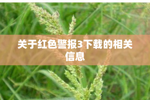 关于红色警报3下载的相关信息