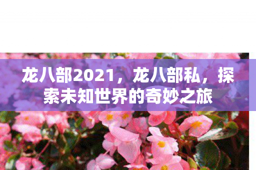 龙八部2021，龙八部私，探索未知世界的奇妙之旅