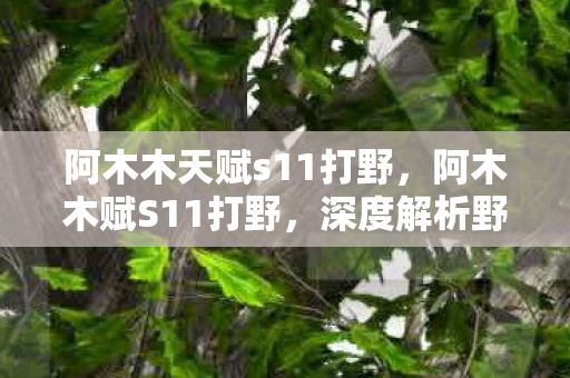 阿木木天赋s11打野，阿木木赋S11打野，深度解析野区新战术与英雄选择
