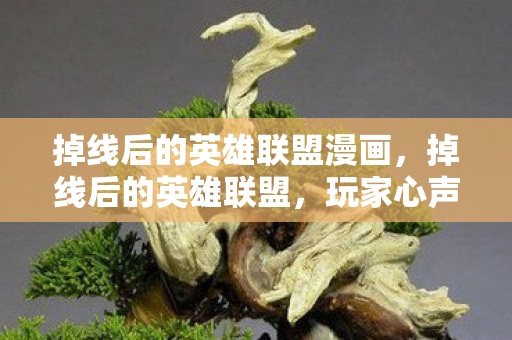 掉线后的英雄联盟漫画，掉线后的英雄联盟，玩家心声与游戏平衡的探讨