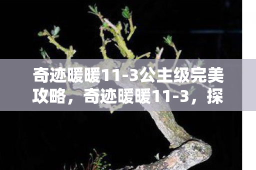 奇迹暖暖11-3公主级完美攻略，奇迹暖暖11-3，探索未知，挑战自我
