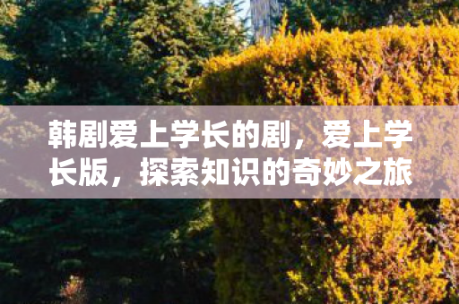 韩剧爱上学长的剧，爱上学长版，探索知识的奇妙之旅