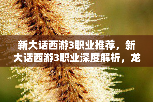 新大话西游3职业推荐，新大话西游3职业深度解析，龙太子的传奇之旅