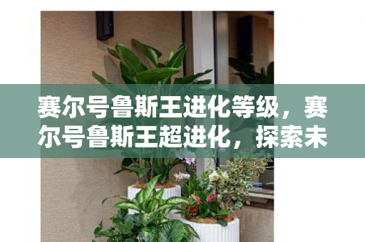 赛尔号鲁斯王进化等级，赛尔号鲁斯王超进化，探索未知，挑战极限