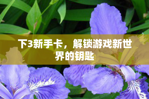 下3新手卡，解锁游戏新世界的钥匙
