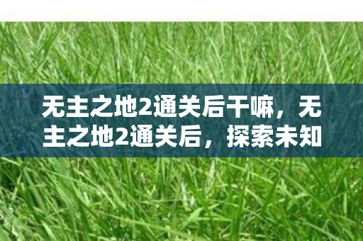 无主之地2通关后干嘛，无主之地2通关后，探索未知世界的无尽可能