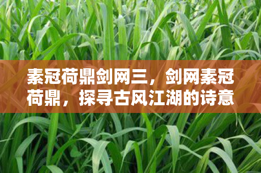 素冠荷鼎剑网三，剑网素冠荷鼎，探寻古风江湖的诗意与远方