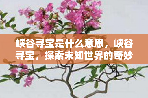 峡谷寻宝是什么意思，峡谷寻宝，探索未知世界的奇妙之旅