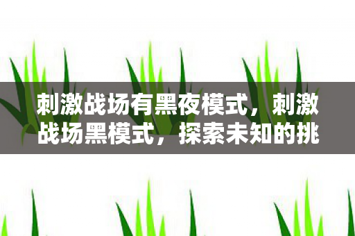 刺激战场有黑夜模式，刺激战场黑模式，探索未知的挑战与乐趣