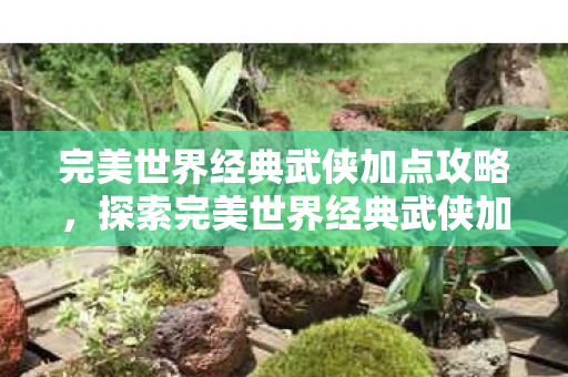 完美世界经典武侠加点攻略，探索完美世界经典武侠加点策略，打造你的专属武侠传奇