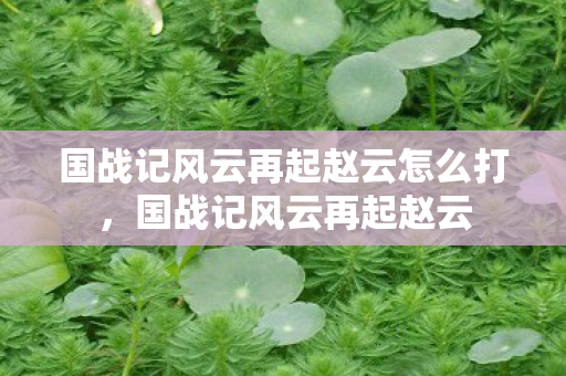 国战记风云再起赵云怎么打，国战记风云再起赵云
