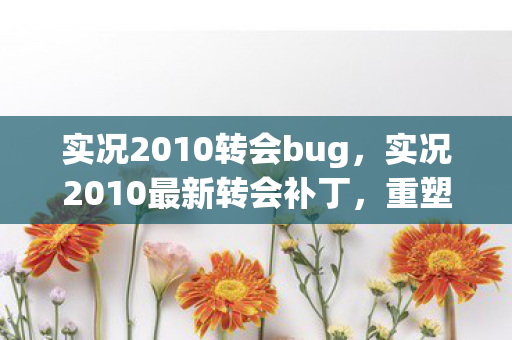 实况2010转会bug，实况2010最新转会补丁，重塑绿茵场，再燃激情