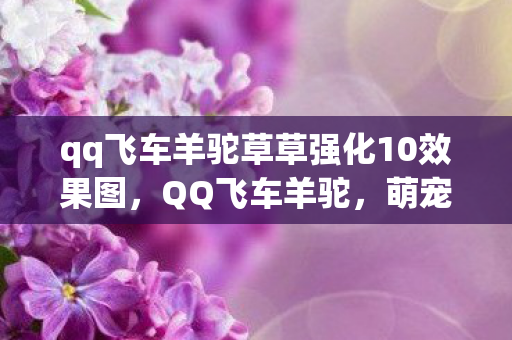 qq飞车羊驼草草强化10效果图，QQ飞车羊驼，萌宠背后的速度与激情