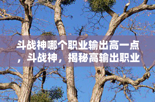 斗战神哪个职业输出高一点，斗战神，揭秘高输出职业，谁才是战场上的输出之王？