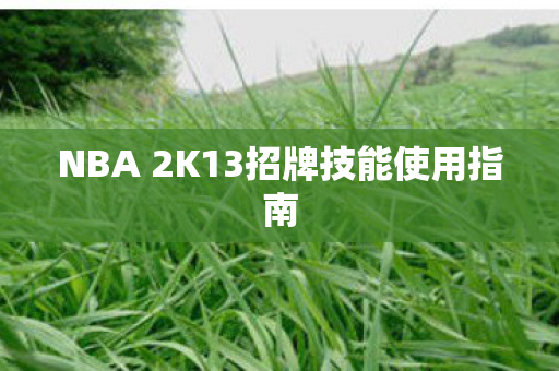 NBA 2K13招牌技能使用指南 NBA 2K13招牌技能使用指南