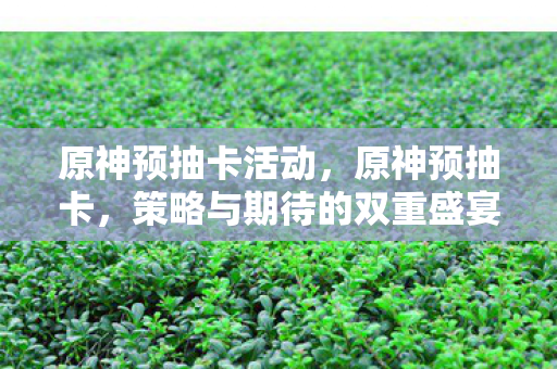 原神预抽卡活动，原神预抽卡，策略与期待的双重盛宴