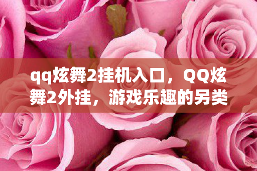 qq炫舞2挂机入口，QQ炫舞2外挂，游戏乐趣的另类探索