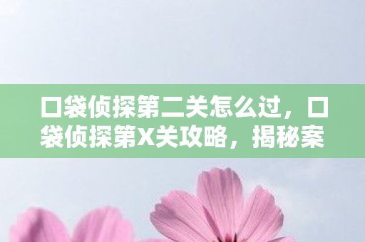 口袋侦探第二关怎么过，口袋侦探第X关攻略，揭秘案件真相的侦探之旅