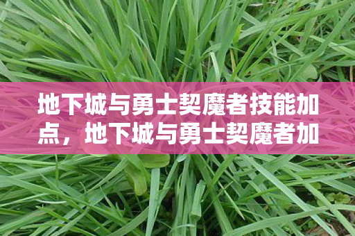 地下城与勇士契魔者技能加点，地下城与勇士契魔者加点指南，打造最强战斗力的关键