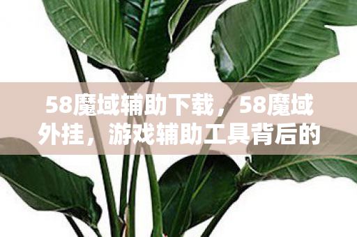 58魔域辅助下载，58魔域外挂，游戏辅助工具背后的秘密