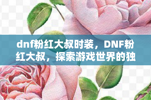 dnf粉红大叔时装，DNF粉红大叔，探索游戏世界的独特魅力