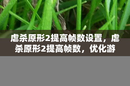 虐杀原形2提高帧数设置，虐杀原形2提高帧数，优化游戏性能，畅享流畅体验
